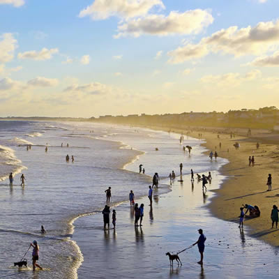 South Carolina HOA